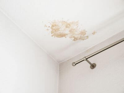 About water damage cleanup - ceiling water damage repair experts in Alexandria